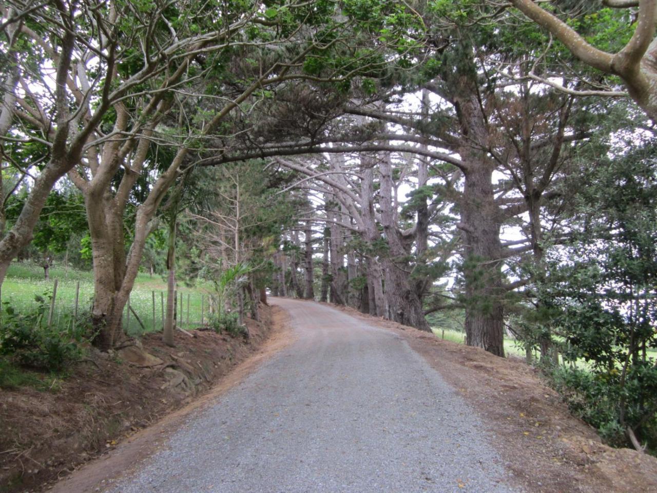 Hotel Koati Views Lake Ohia Exterior foto